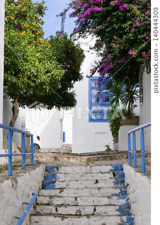 Landscape of Sidi Bou Said, Tunis, Tunisia Landscape of Sidi Bou Said, Tunis, Tunisia 140444309