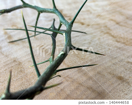 Side View of Monochrome Crown of Thorns on Fabric Representing Somber Reflection Side View of Monochrome Crown of Thorns on Fabric Representing Somber Reflection 140444658