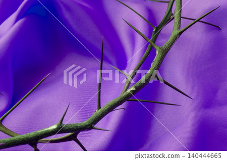 Golden Light Crown of Thorns on Purple Silk Fabric for Easter Concept. Golden Light Crown of Thorns on Purple Silk Fabric for Easter Concept. 140444665