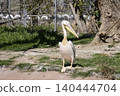 Momoiro Pelicans 140444704