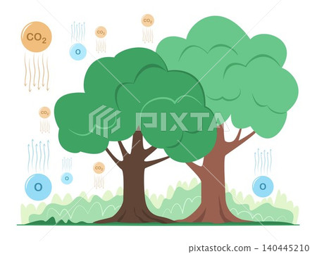 Big Trees in Natural Forest Absorb Carbon Dioxide and Release Oxygen into the Atmosphere for Mitigation the Global Warming, Climate Change and Environment Care Concept Illustration Clip Art 140445210