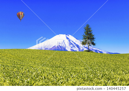一張由美瑛美麗的鄉村景色和富士山合成的圖片。 一張由美瑛美麗的鄉村景色和富士山合成的圖片。 140445257