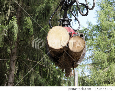 mechanical harvester grab suspends freshly cut conifer logs above the forest floor amid dense trees during a timber harvesting operation, illustrating heavy forestry machinery mechanical harvester grab suspends freshly cut conifer logs above the forest floor amid dense trees during a timber harvesting operation, illustrating heavy forestry machinery 140445289
