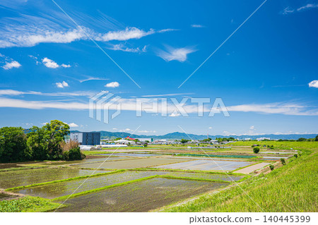Rural scenery along the Kizu River, Yawata City, Kyoto Prefecture Rural scenery along the Kizu River, Yawata City, Kyoto Prefecture 140445399