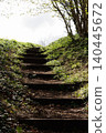 Steep steps in woodland leading up toward bright sky and light 140445672