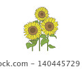 Illustration of a large sunflower 140445729
