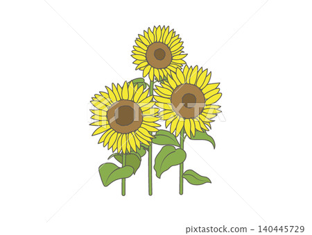 Illustration of a large sunflower 140445729