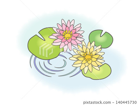 水中漂浮的睡蓮插圖 水中漂浮的睡蓮插圖 140445730
