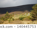 Sunlight shining on reindeer grazing in Cairngorm mountains, Scotland 140445753