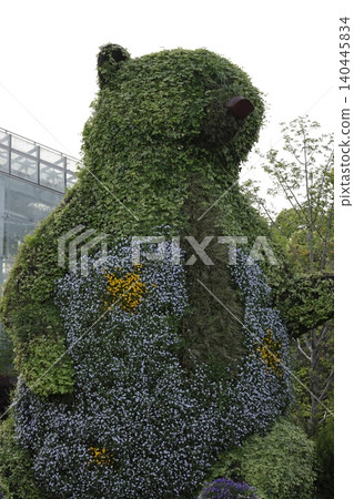 熊、植物、濱松花卉公園 熊、植物、濱松花卉公園 140445834