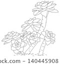 Succulent plant line drawing - no coloring 140445908