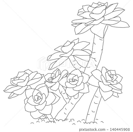 Succulent plant line drawing - no coloring Succulent plant line drawing - no coloring 140445908