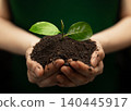Hands holding soil with young green plant ,environmental protection, sustainable growth 140445917