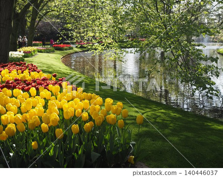 Tulips in Keukenhof Gardens, Netherlands Tulips in Keukenhof Gardens, Netherlands 140446037