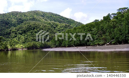 Mangroves growing along the riverbanks of Amami Oshima Island in Kagoshima Prefecture Mangroves growing along the riverbanks of Amami Oshima Island in Kagoshima Prefecture 140446330