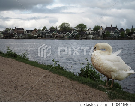 Zaanse Schans, a windmill town in the Netherlands. Zaanse Schans, a windmill town in the Netherlands. 140446462