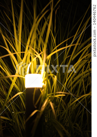 夜晚的花園燈光和植物 夜晚的花園燈光和植物 140446762