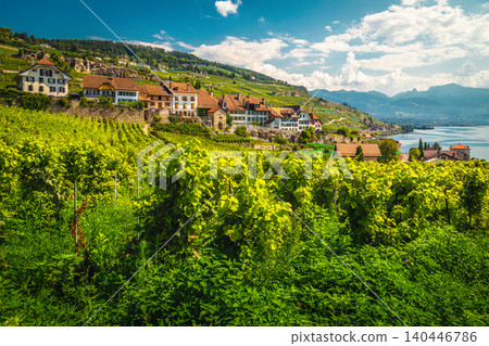 Vineyards on the hill near Montreux, Chexbres village, Switzerland Vineyards on the hill near Montreux, Chexbres village, Switzerland 140446786