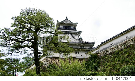 Kochi Castle in Kochi Prefecture, where the main keep and the main palace remain. Kochi Castle in Kochi Prefecture, where the main keep and the main palace remain. 140447004