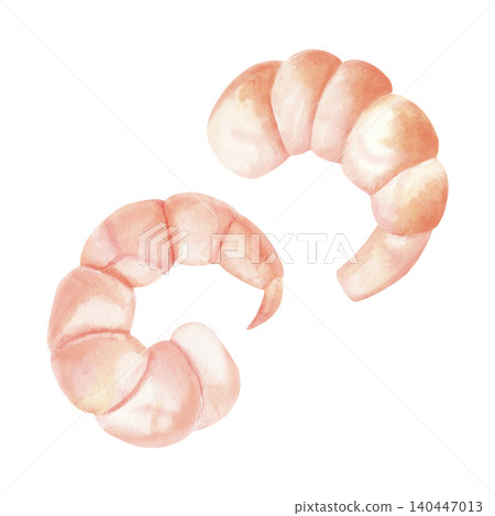 Peeled cooked shrimp set. Hand-painted watercolor illustration isolated on white for seafood menus, recipe books, food packaging, restaurant branding, Asian cuisine, culinary blogs, nutrition content Peeled cooked shrimp set. Hand-painted watercolor illustration isolated on white for seafood menus, recipe books, food packaging, restaurant branding, Asian cuisine, culinary blogs, nutrition content 140447013