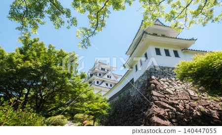 郡上八幡城 郡上八幡城 140447055