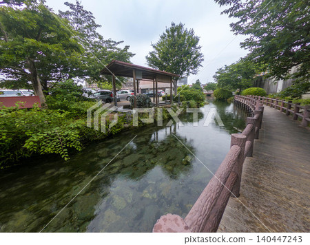 西條市(「水之都」)美麗的泉水(內貫水),以及愛媛郡六月的景色。 西條市(「水之都」)美麗的泉水(內貫水),以及愛媛郡六月的景色。 140447243