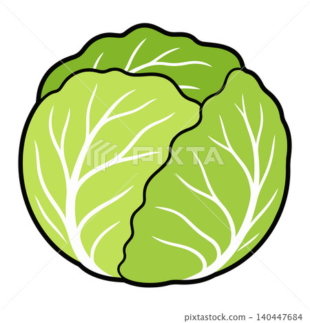 Whole cabbage, vegetable ingredient, food image illustration Whole cabbage, vegetable ingredient, food image illustration 140447684