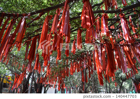 越南的祈禱絲帶（胡志明市 Suoi Tien 公園） 140447703