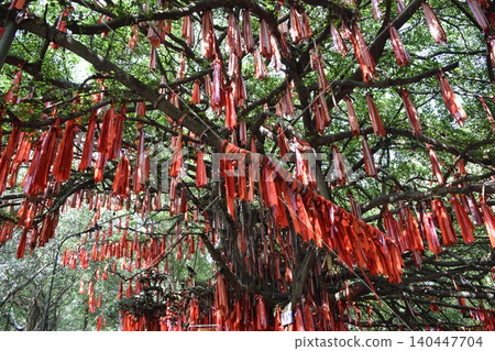 越南的祈禱絲帶（胡志明市 Suoi Tien 公園） 140447704