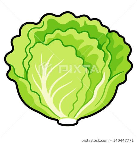 Simple vegetable illustration of lettuce Simple vegetable illustration of lettuce 140447771