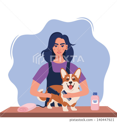 Women hairdresser grooming a corgi dog in pet groom saloon. Woman with hair dryer and comb in her hands dries the dog's fur. Pet grooming salon. Vector illustration. 140447921
