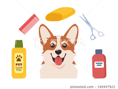 Dog Grooming. Caring for animals. Dog hair salon. Corgi. Tools for the care of animals. Scissors, brush, shampoo, towel. Pet grooming salon. Vector illustration. 140447922