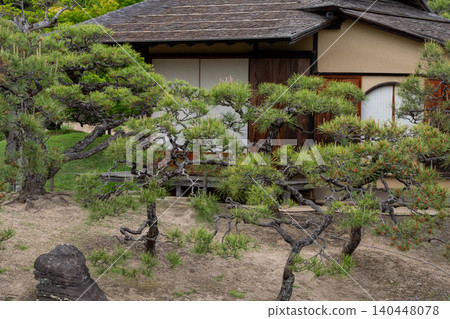 A view of a Japanese house with a round window and a pine tree in the garden. 140448078