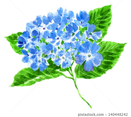 水彩繡球花(26614像素,7張圖片) 水彩繡球花(26614像素,7張圖片) 140448242