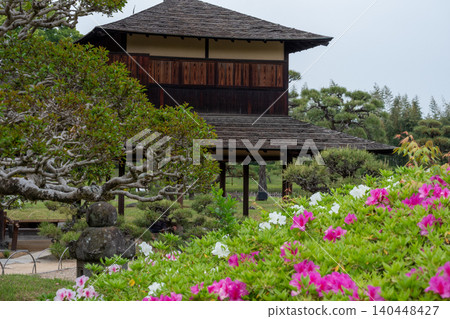 A traditional Japanese garden scene adorned with stone lanterns and azaleas in full bloom. 140448427