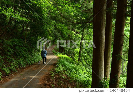 A woman and a dog walking through the forest A woman and a dog walking through the forest 140448494