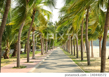 The pavement along the beach in Ban Amphoe is lined with a straight line of coconut trees on both sides. Thailand. The pavement along the beach in Ban Amphoe is lined with a straight line of coconut trees on both sides. Thailand. 140448572