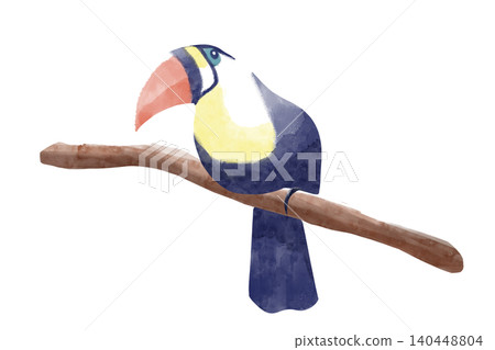 水彩風格的巨嘴鳥插圖,巨嘴鳥是一種熱帶鳥類,屬於熱帶鳥類,描繪的是夏季景象,背景透明,適合用作標誌的點綴。 水彩風格的巨嘴鳥插圖,巨嘴鳥是一種熱帶鳥類,屬於熱帶鳥類,描繪的是夏季景象,背景透明,適合用作標誌的點綴。 140448804