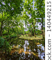 Sunlight filtering through the trees and reflected in the stream amidst the fresh green foliage. Vertical orientation. [Isokawa Green Park/Tochigi] 140449215