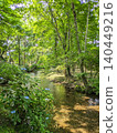 A landscape featuring a tunnel of fresh greenery, a stream, and blue hydrangeas (vertical orientation) [Isokawa Green Park/Tochigi] 140449216