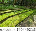 Moss-covered concrete steps and sunlight filtering through the trees on a green promenade (horizontal view) [Isokawa Green Park/Tochigi] 140449218