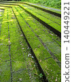 Sunlight filtering through trees onto moss-covered concrete stairs; abstract green texture; vertical orientation. [Isokawa Green Park/Tochigi] 140449221