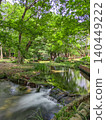 Water flowing over the Isogawa Weir and its reflection on the fresh greenery; a park scene with hydrangeas; vertical orientation. [Isogawa Green Park/Tochigi] 140449222