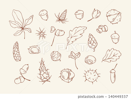 Hand drawn autumn nature elements and forest seeds doodle set 140449337