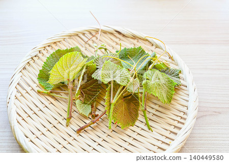 New shoots of wild mountain grapes served in a basket 140449580