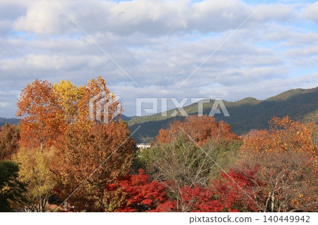 風景與秋天的落葉 140449942
