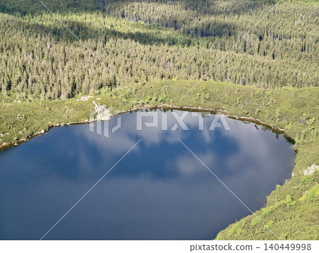 Aerial view of a small lake surrounded by dense evergreen forest Aerial view of a small lake surrounded by dense evergreen forest 140449998