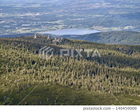 Aerial view of conifer forest on mountain slope with distant lake and valley Aerial view of conifer forest on mountain slope with distant lake and valley 140450000