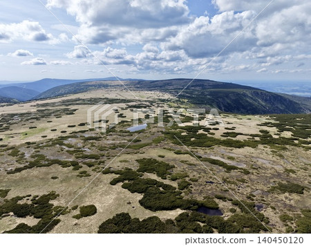 High mountain plateau with scattered shrubs under dramatic cloud sky High mountain plateau with scattered shrubs under dramatic cloud sky 140450120