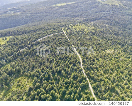 Aerial view of forested landscape with winding dirt trail Aerial view of forested landscape with winding dirt trail 140450127